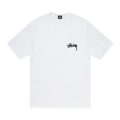 Stussy Shattered Tee "White"