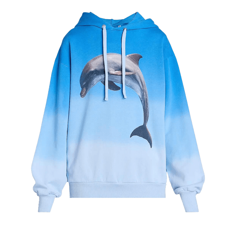 JW Anderson Classic Fit Dolphin Print Hoodie "Blue"