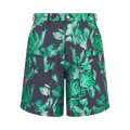 Dior x Denim Tears Shorts "Blue"