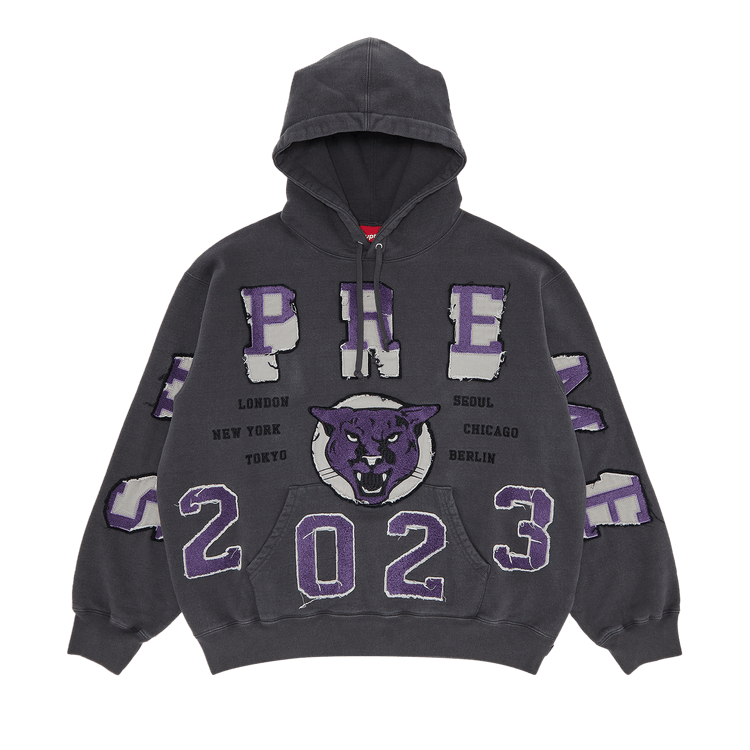 Supreme Washed Panther Hooded Sweatshirt "Black"