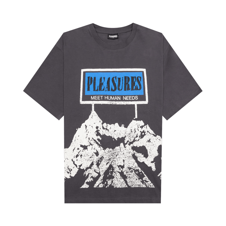 Pleasures Human Needs Heavyweight Shirt "Grey"