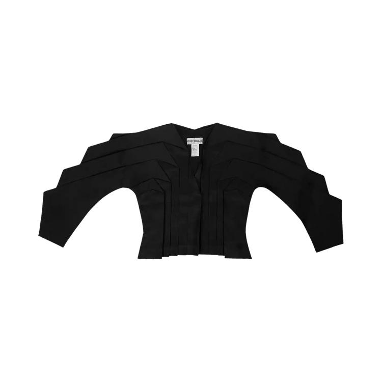 Issey Miyake Dinosaur Architectural Pleated Linen Jacket "Black"