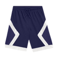 Dior x Air Jordan Basketball Shorts "Navy"