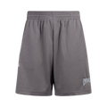 3.PARADIS x NBA Swingman Shorts "Silver"