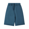 The Row Stanton Shorts "Blue"