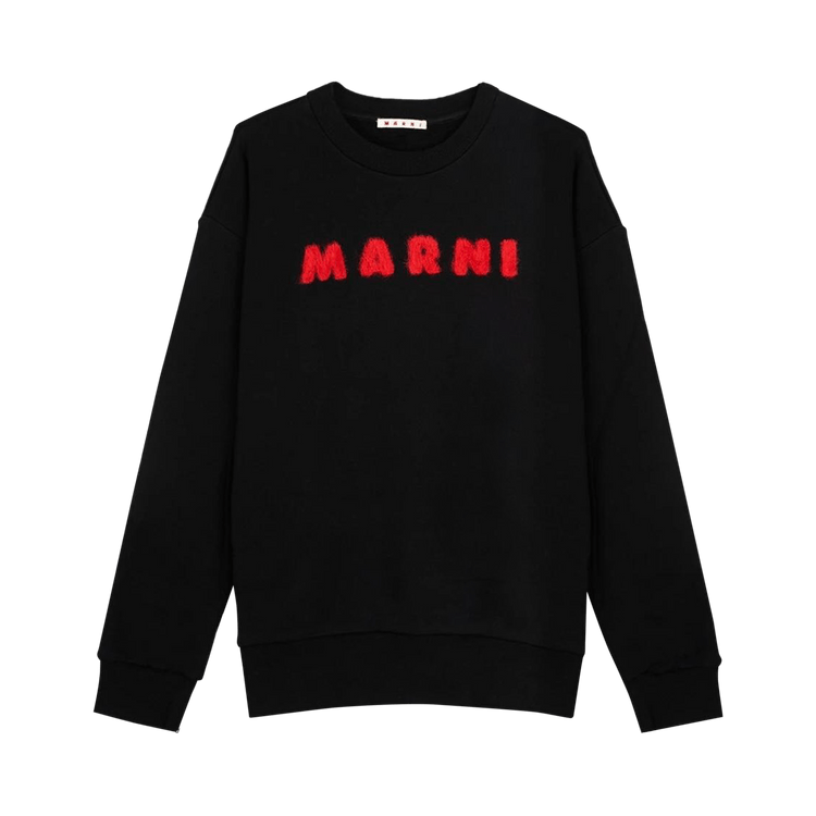Marni Unbrushed Sweatshirt "Black"