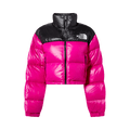 The North Face Nuptse Short Jacket "Fuchsia Pink"