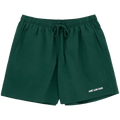 Aimé Leon Dore Logo Swim Short "Botanical Green"