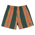 Bode Parakeet Stripe Shorts "Green"