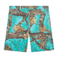 Awake NY Painter Shorts "Seaglass"