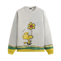 Kith For Peanuts Woodstock Comic Nelson Crewneck "Chalk"