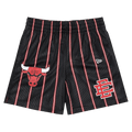 Eric Emanuel EE Basics Shorts "Chicago Bulls"
