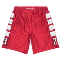 Air Jordan Brooklyn Cat Scratch Shorts "Gym Red/White/Gym Red"