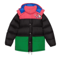 Gucci x The North Face Down Jacket "Black/Multicolor"