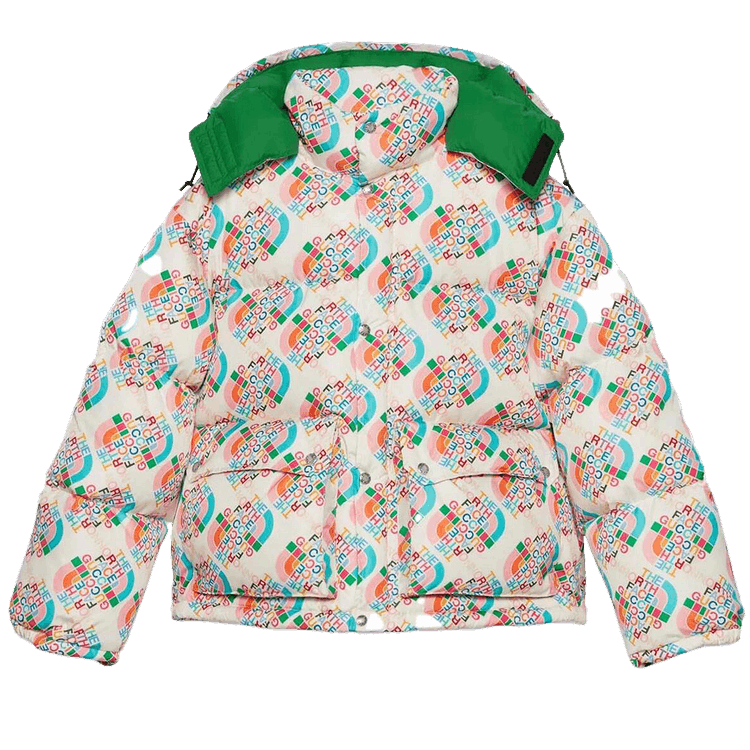 Gucci x The North Face Down Jacket "Multicolor/Ivory"