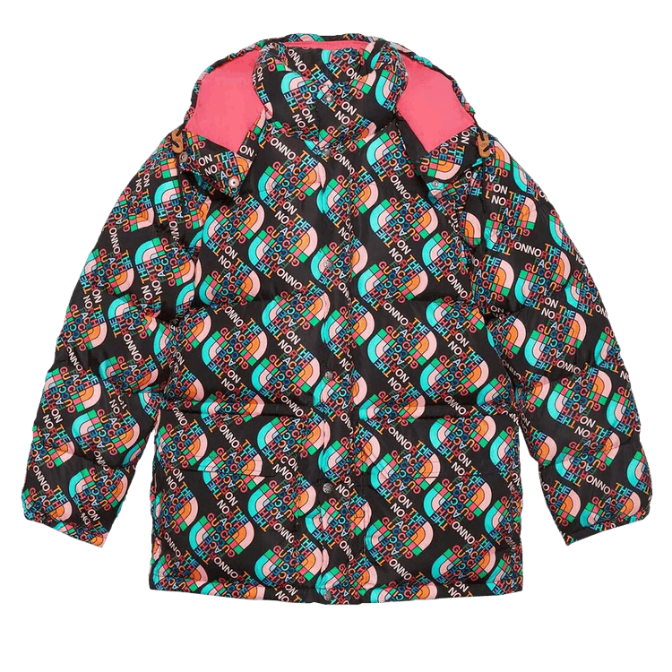 Gucci x The North Face Down Jacket "Multicolor/Black"