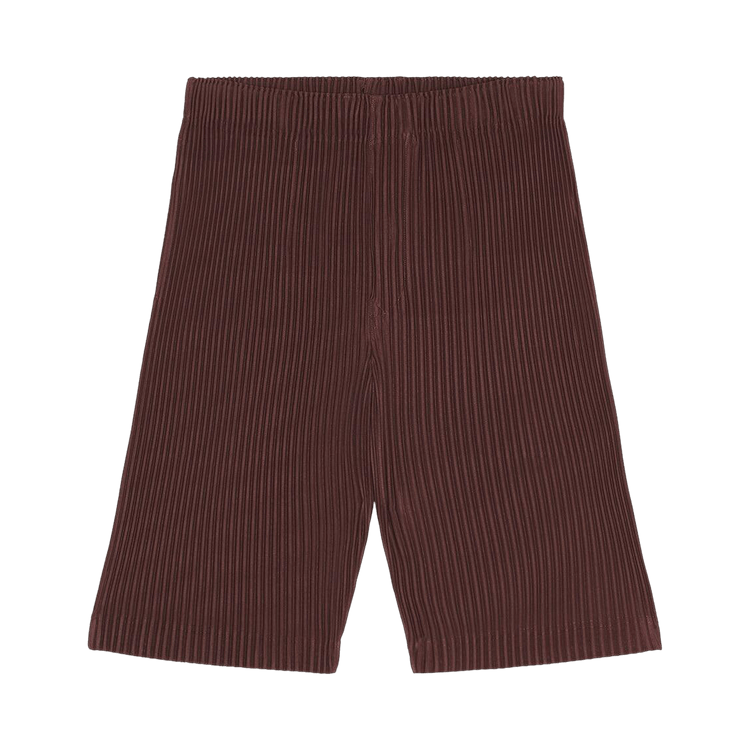 Homme Plissé Issey Miyake Color Pleats Pants "Edge Brown"