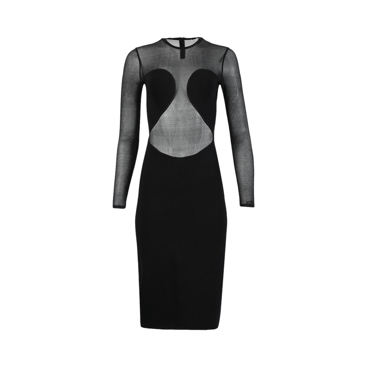 Alaïa Bodysheer Dress "Noir Alaia"