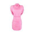 Magda Butrym Dress "Pink"