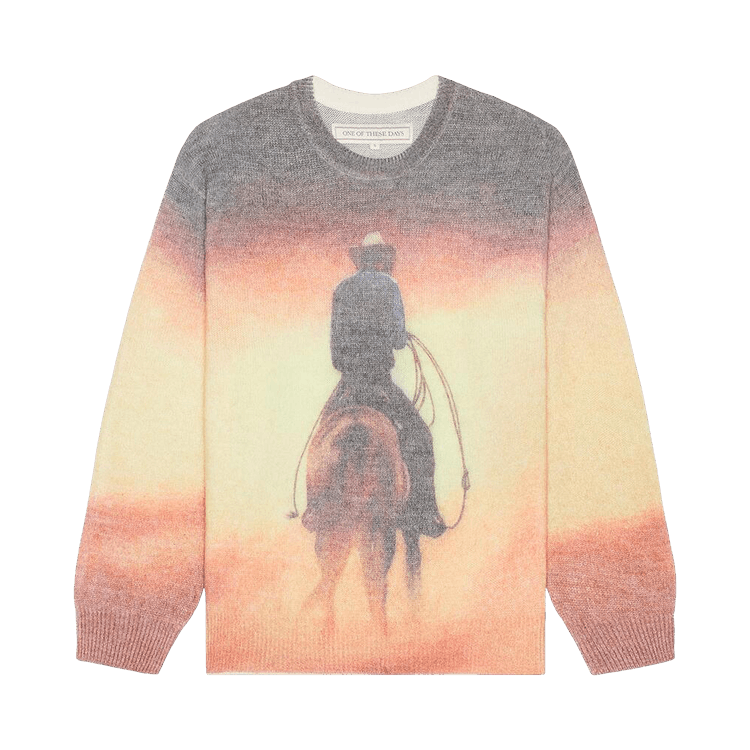 One Of These Days But That Was A Dream Knit Sweater "Multicolor"