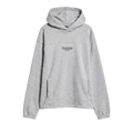 The North Face Places We Love Hoodie Seven Summits "TNF Pale Grey Heather"