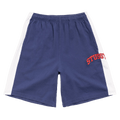 Stussy Stripe Jersey Short "Blue"