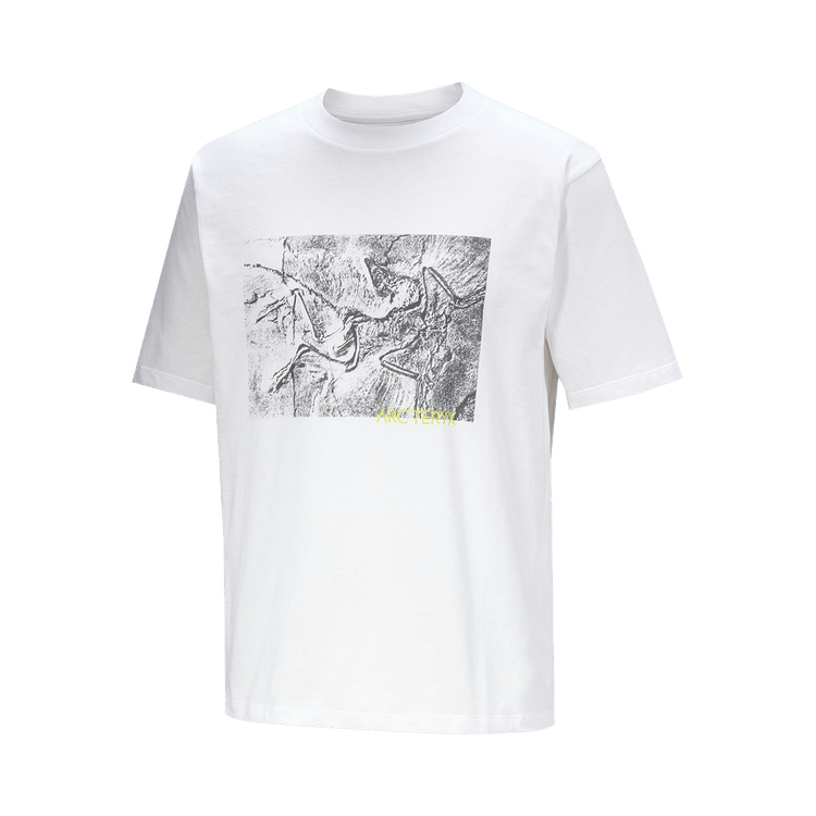 Arc"teryx Kragg Cotton Lithographica Tee "White Light'