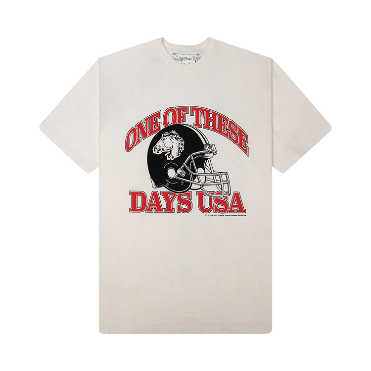 One Of These Days USA T-Shirt "Bone"