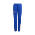Adidas Italy Dna Pants "Bold Blue"
