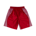 Cactus Jack by Travis Scott x Nike Shorts "Red"