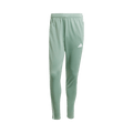 Adidas Tiro 25 Essentials Pants "Silver Green/White"