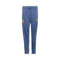 Adidas Argentina Dna Pants "Crew Blue"