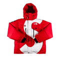 Supreme x The North Face S Logo Summit Series Himalayan Parka "Red"