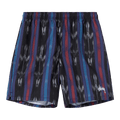 Stussy Ikat Stripe Water Short "Black"