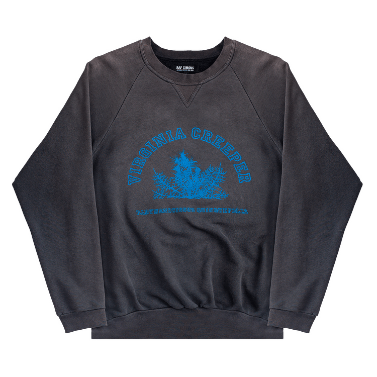 Vintage Raf Simons Virginia Creeper Crewneck "Black"